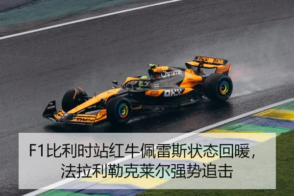 bi-li-shi-zhan-hong-niu-pei-lei-si-zhuang-tai-hui-nuan-fa-la-li-lei-ke-lai-er-qiang-shi-zhui-ji-3-540.jpg