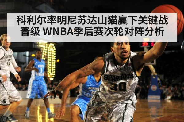 科利尔率明尼苏达山猫赢下关键战晋级 WNBA季后赛次轮对阵分析